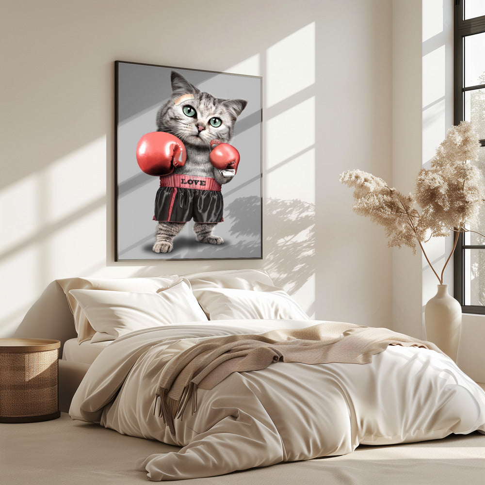 boksende kat | Poster
