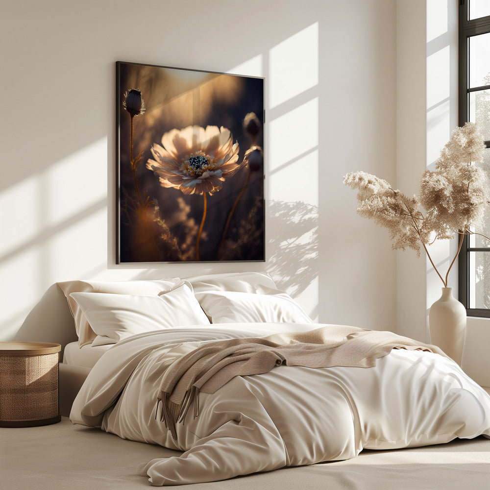 Zonovergoten bloesem | Poster