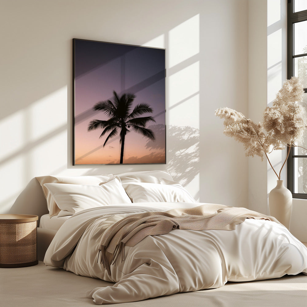 Costa Ricaanse palmboom | Poster