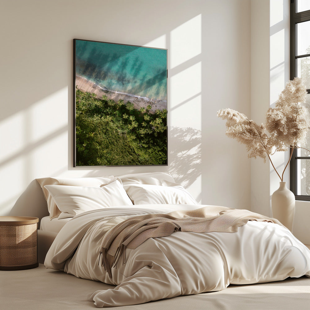 Palm Beach van bovenaf | Poster