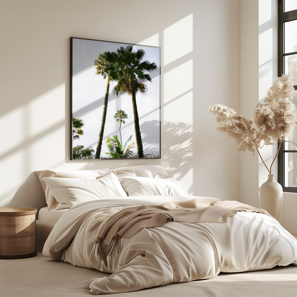 Vind mij onder de palmboom | Poster