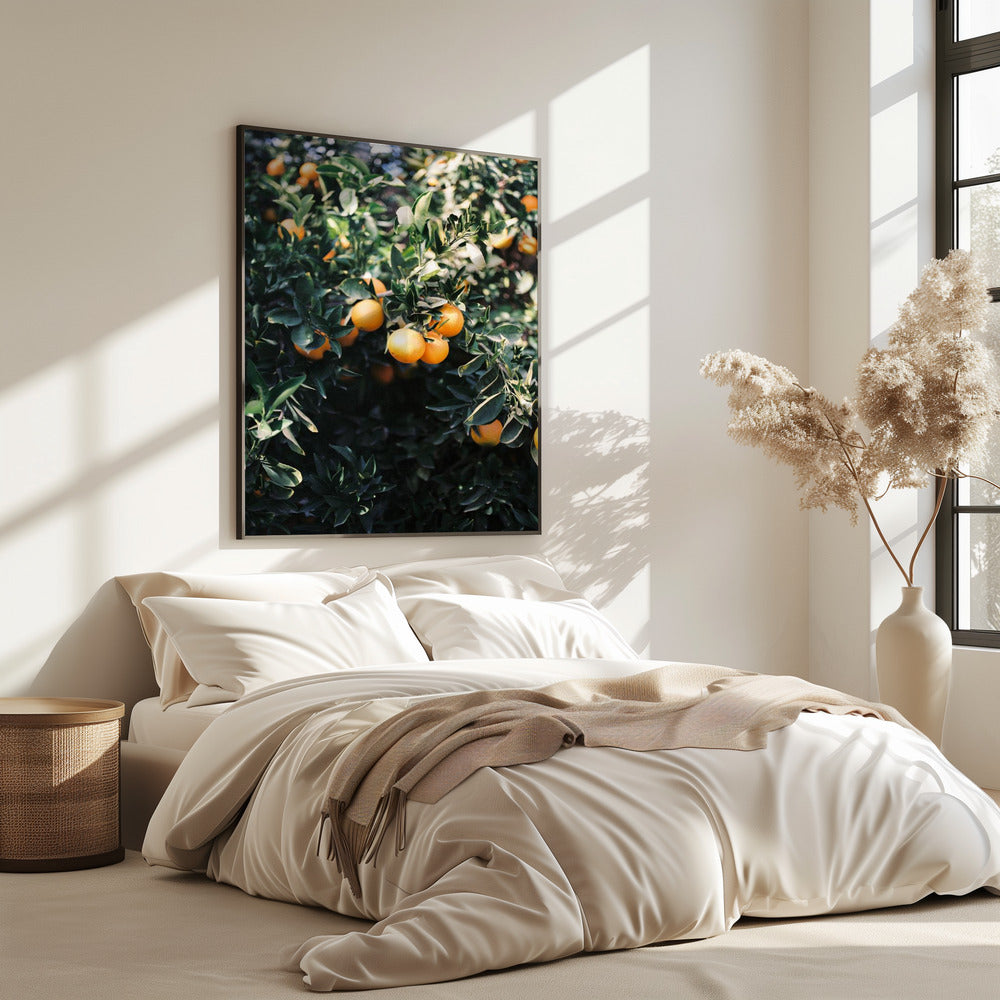 Marrakesh Sinaasappels | Poster