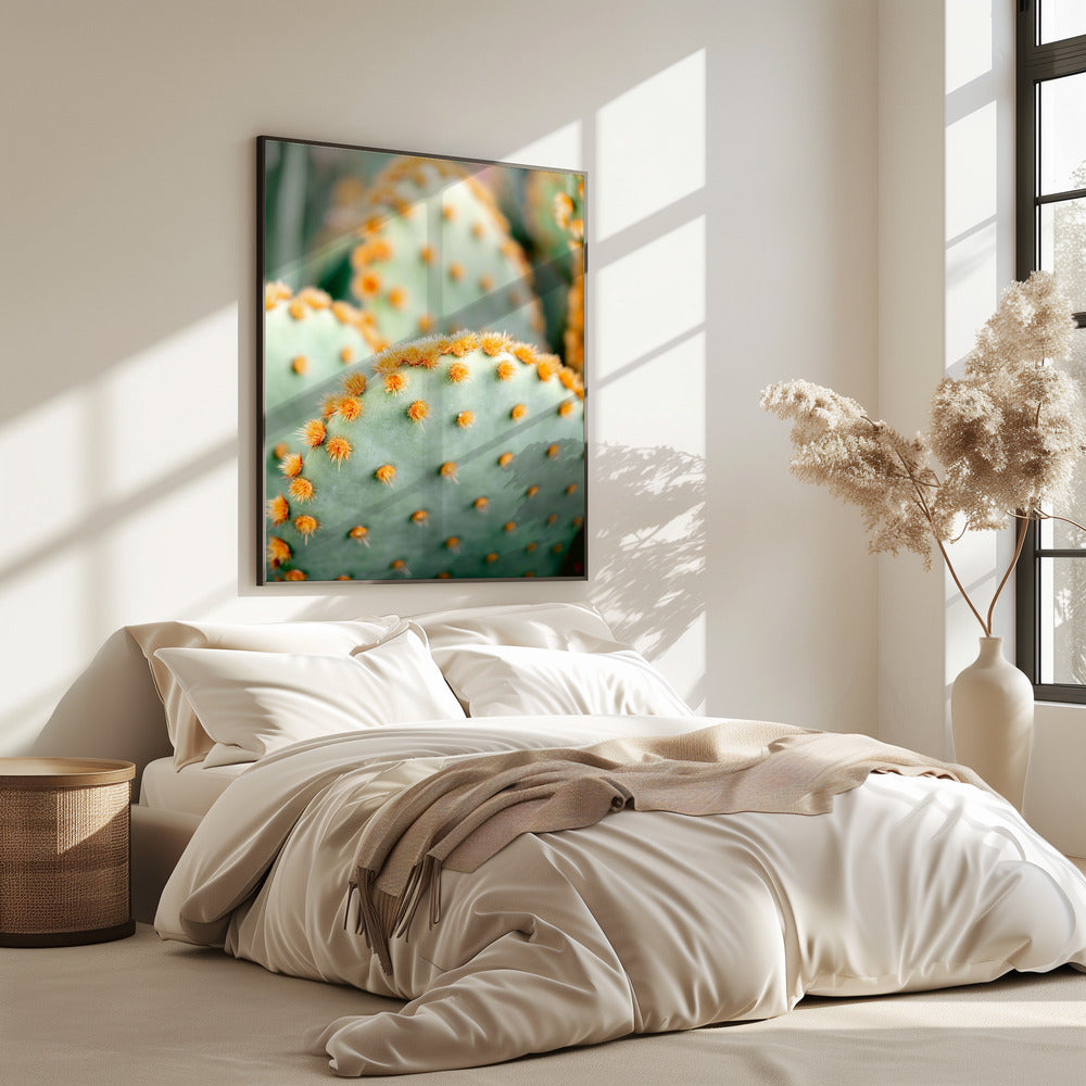 Oranje en Groen II - Botanische fotografie van Marrakech | Poster