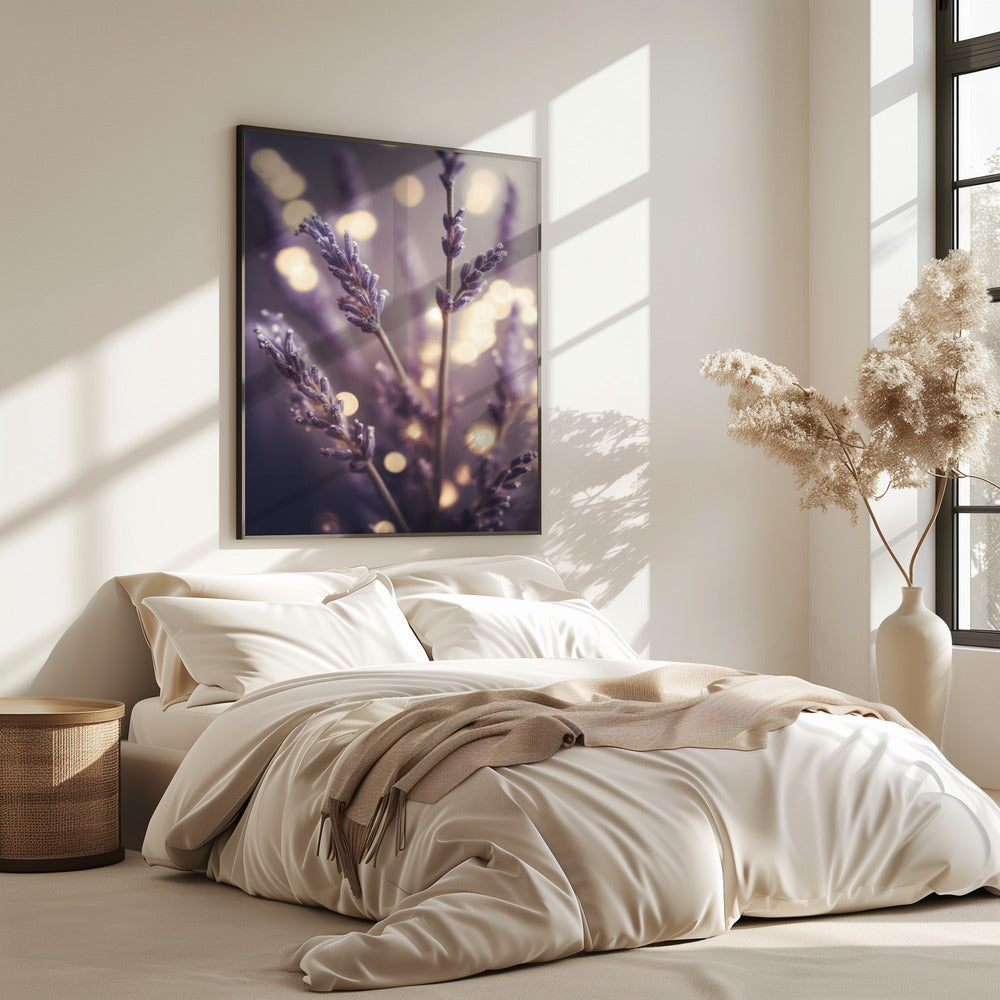 Lavender Dreams | Poster
