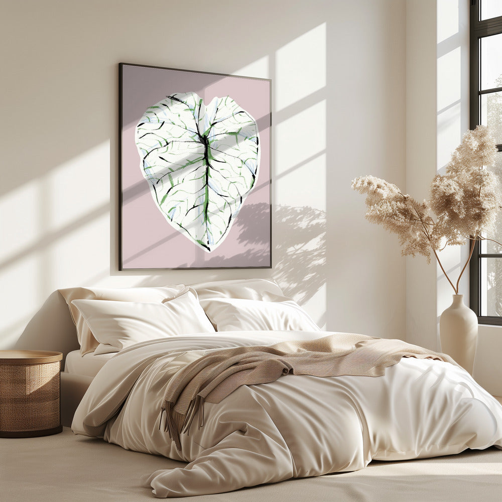 Alocasia Melo Light | Poster