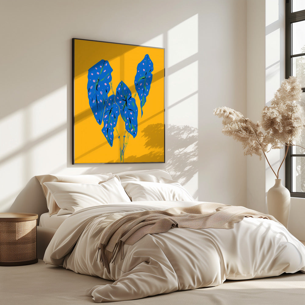 Begonia Maculata Blauw en Geel | Poster