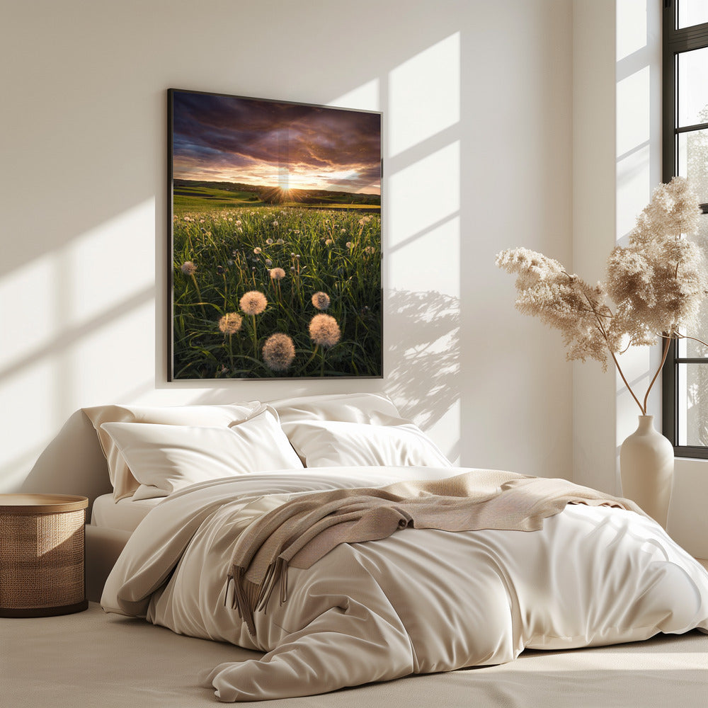 Poppy World | Poster