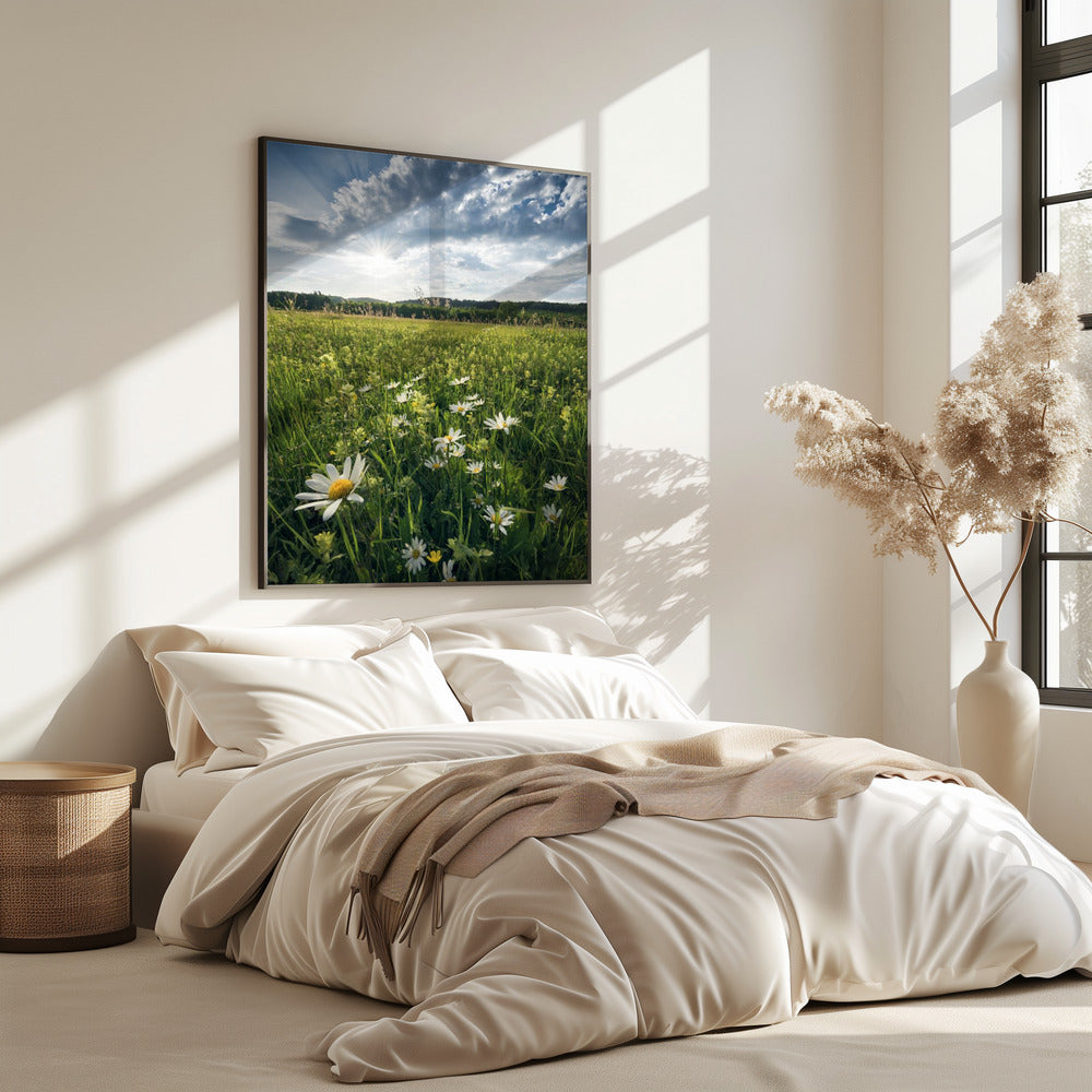 Bloeiende weide | Poster