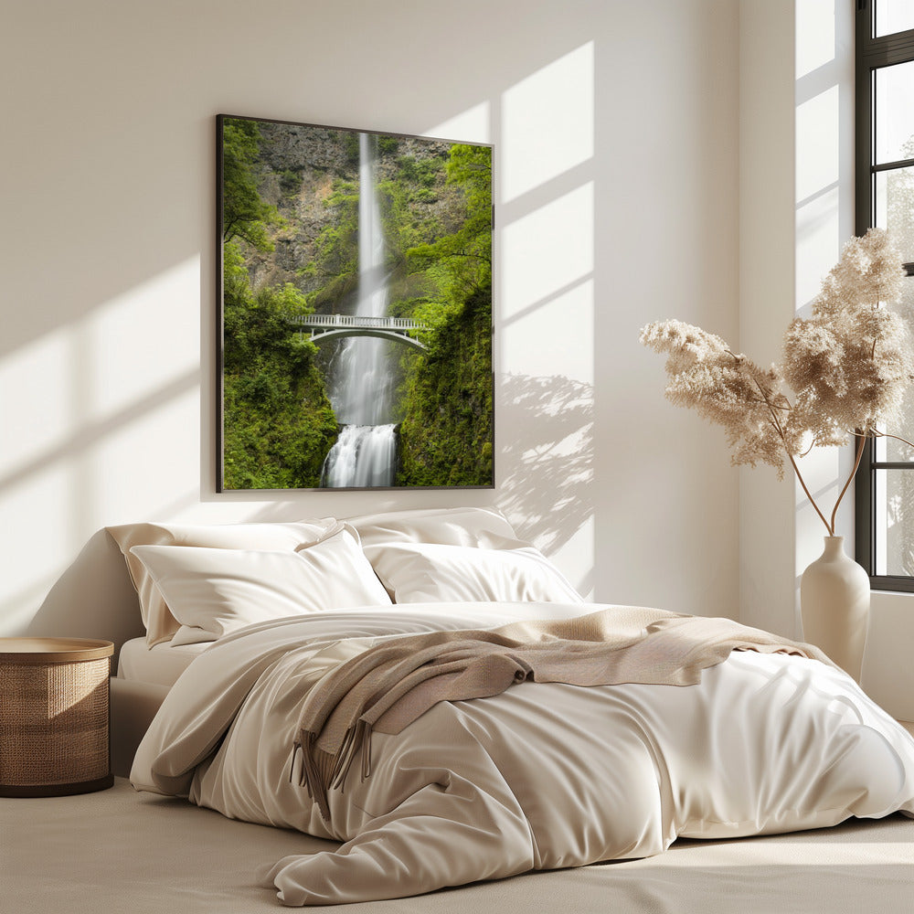 Zachte staart | Poster