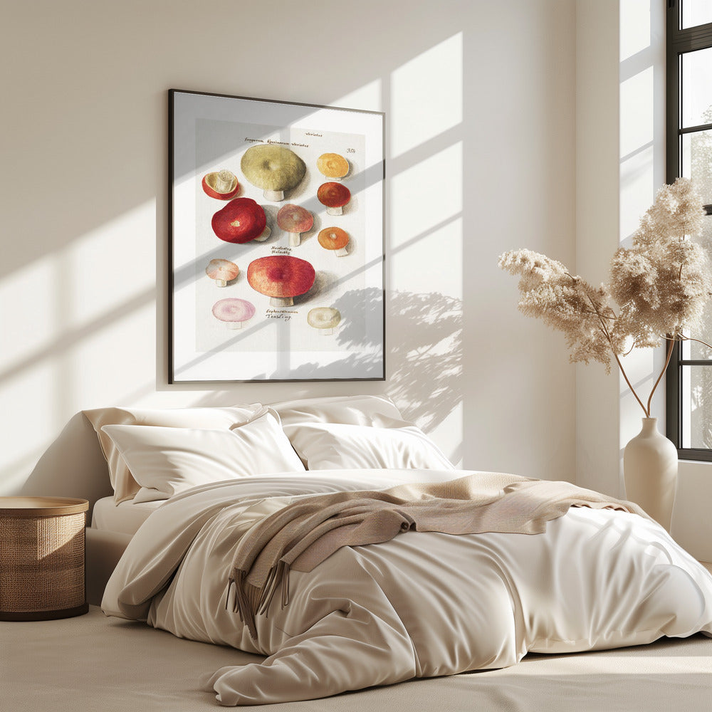 Boleten, Boletales staand | Poster