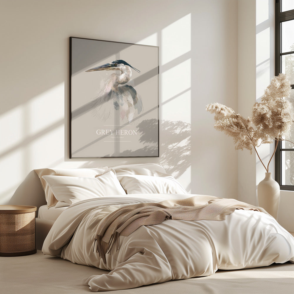 Blauwe reiger | Poster