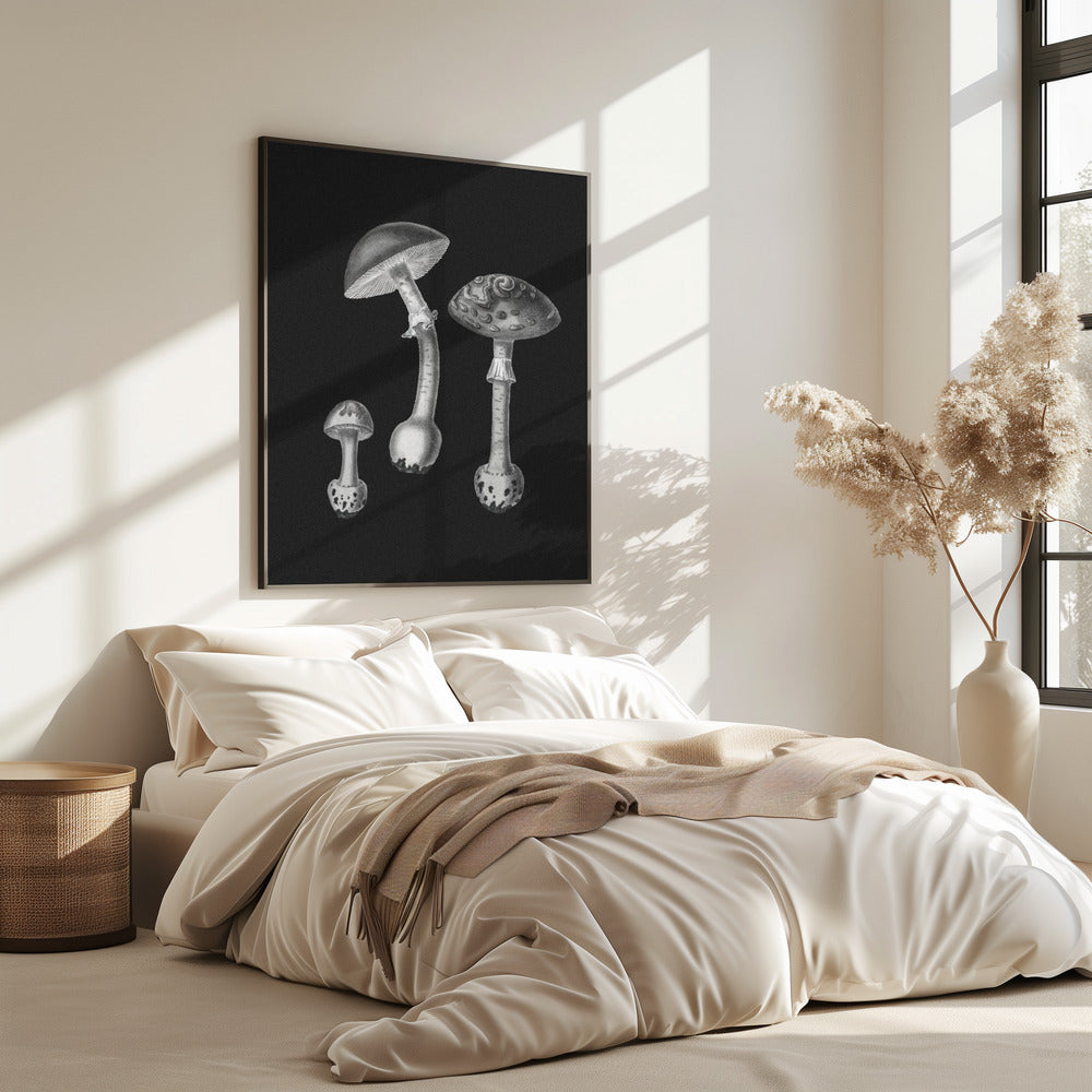 Amanita Muscaria Black Backgound BW | Poster