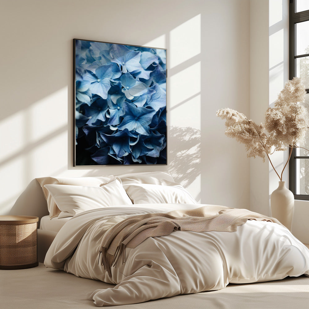 Vibrant Blue Hydrangeas | Poster