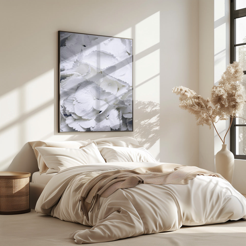 Delicate witte hortensiablaadjes | Poster