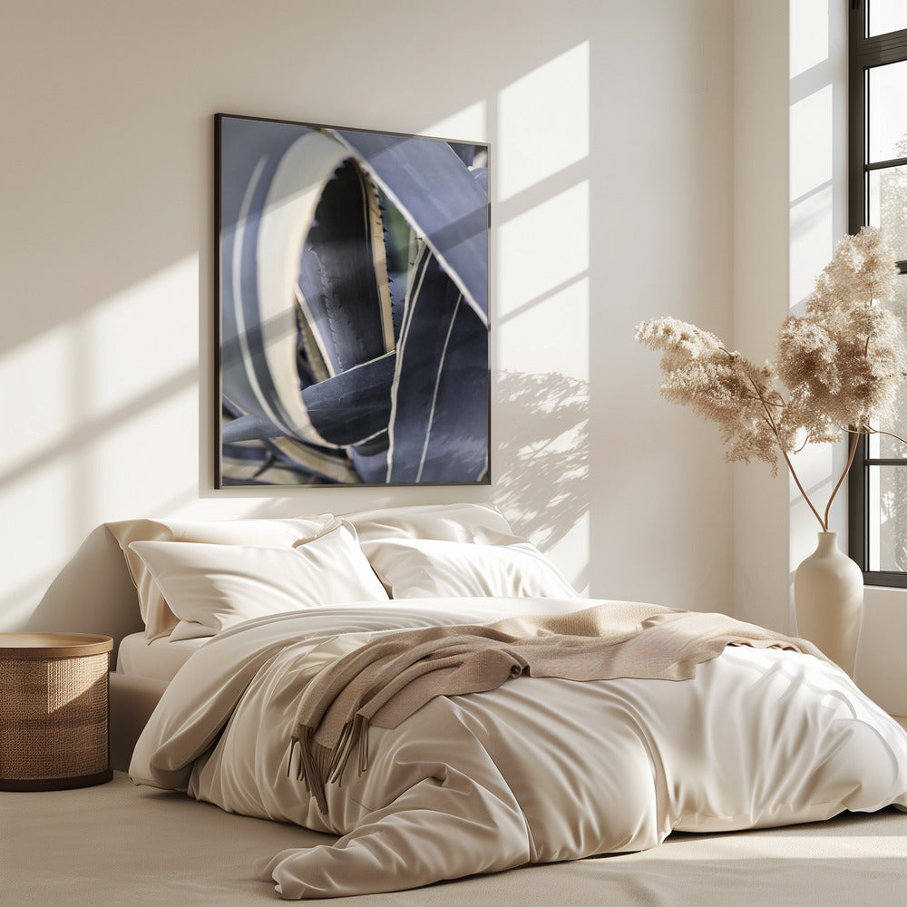 Spiraal van de natuur | Poster