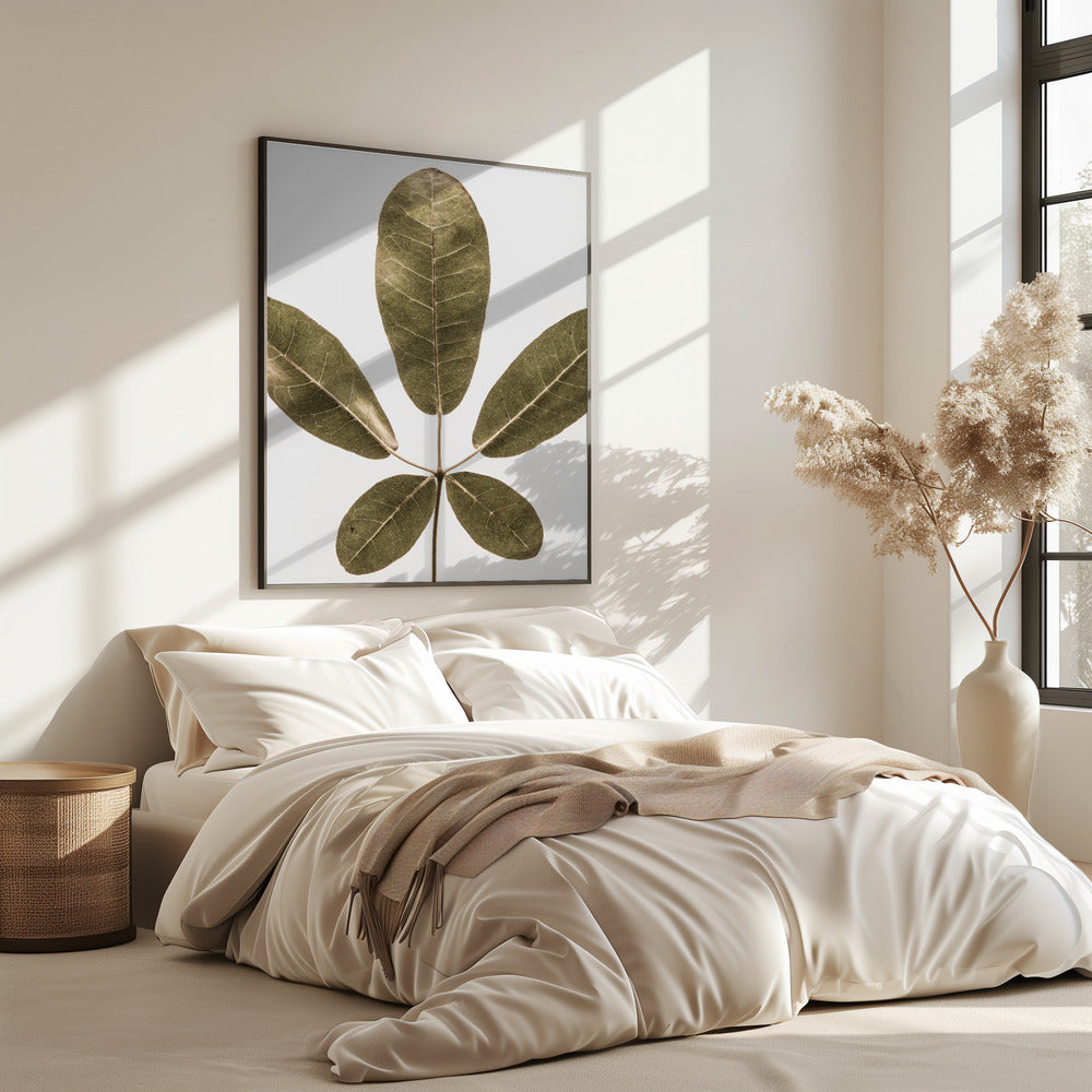 Vijfbladige Harmonie | Poster