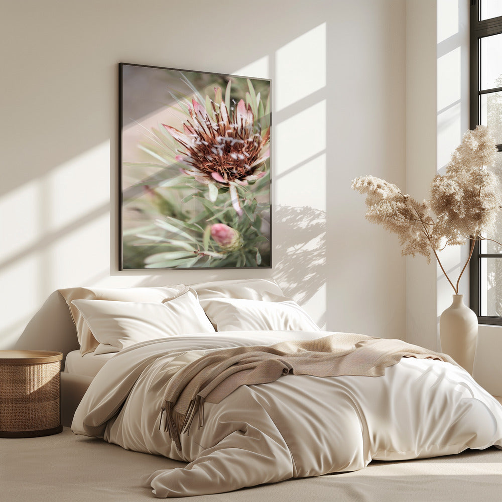 Zachte Bloei Elegantie | Poster