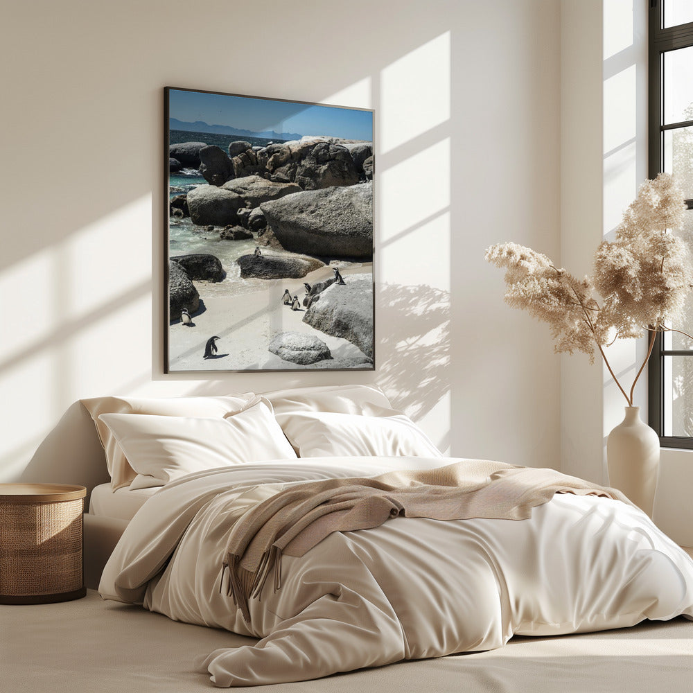 Pinguïnbaai Sereniteit | Poster
