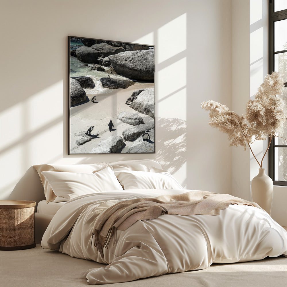 Pinguïnstrandwandeling | Poster