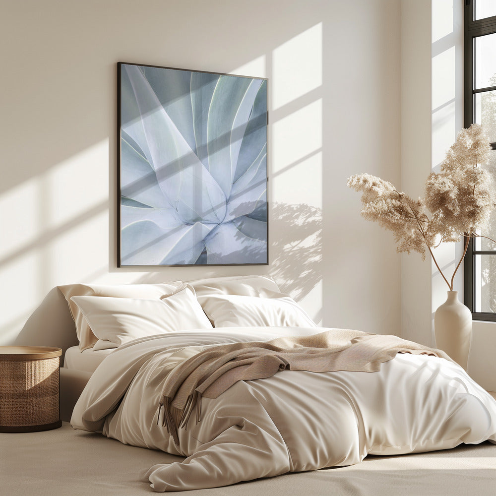 Silvery Succulent | Poster