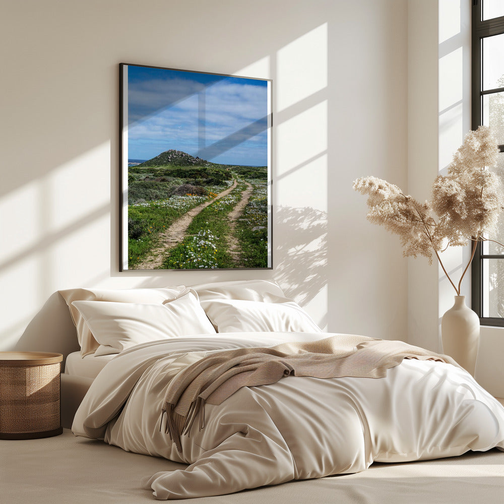 Pathway to Serenity | Poster
