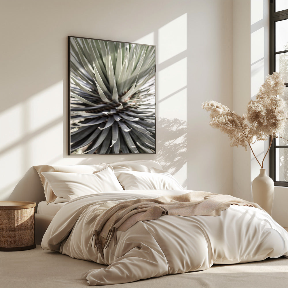 Spiky Serenity | Poster