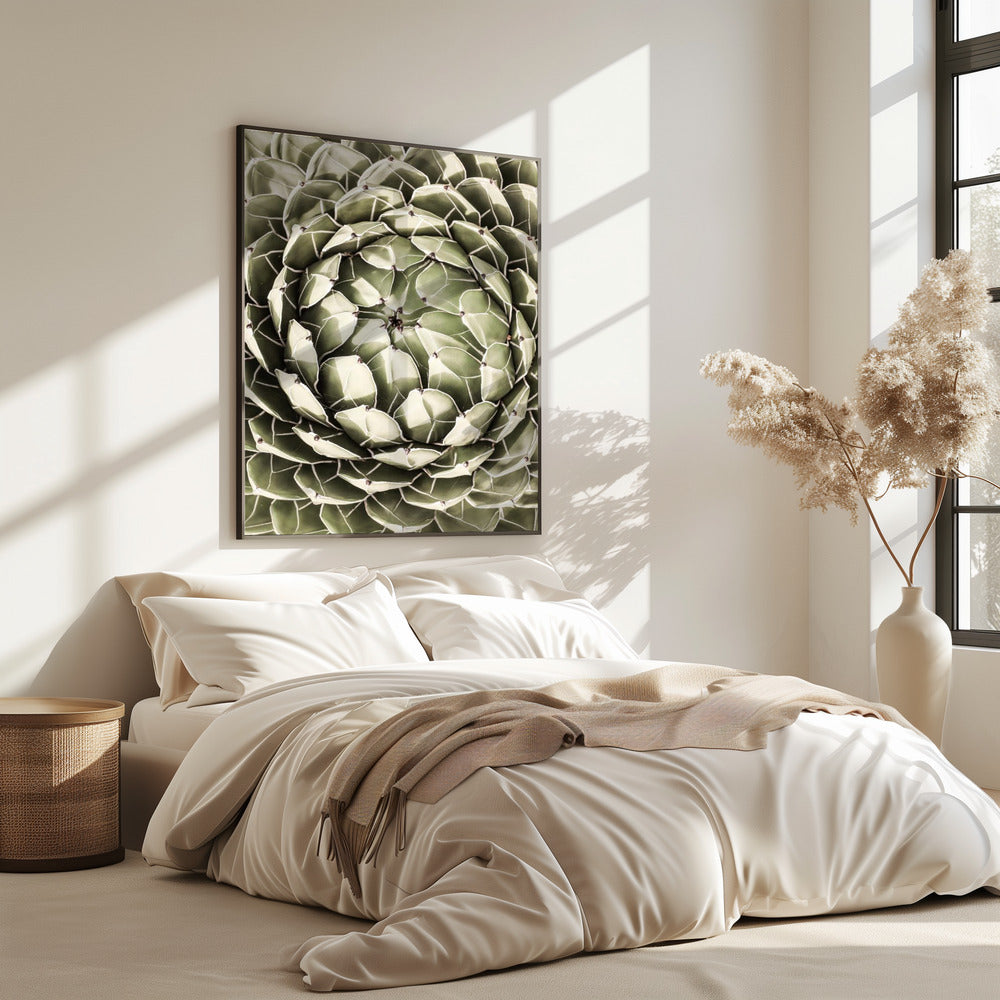 Geometric Succulent | Poster