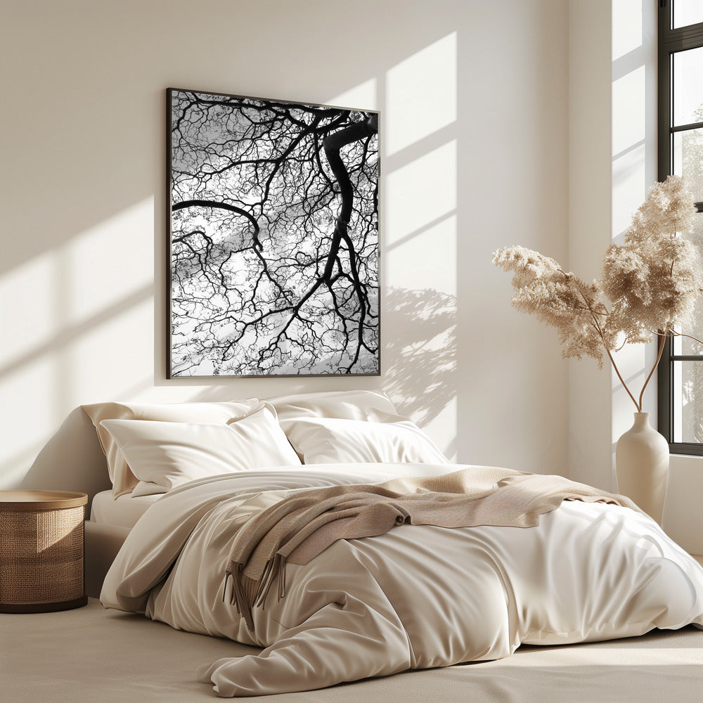 Branches' Dance | Poster