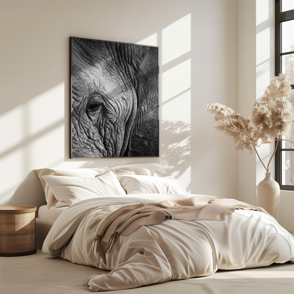 Wisdom's Wrinkles | Poster