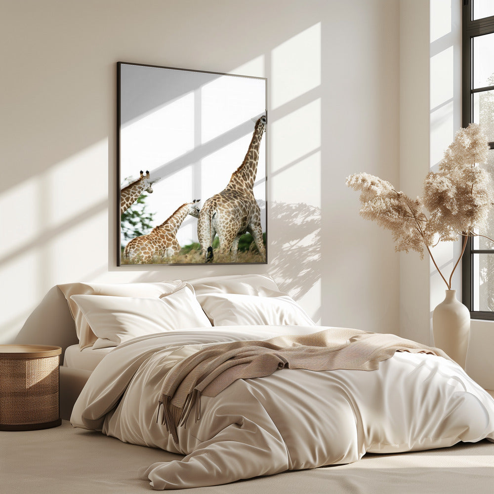 Giraffenwandeling | Poster