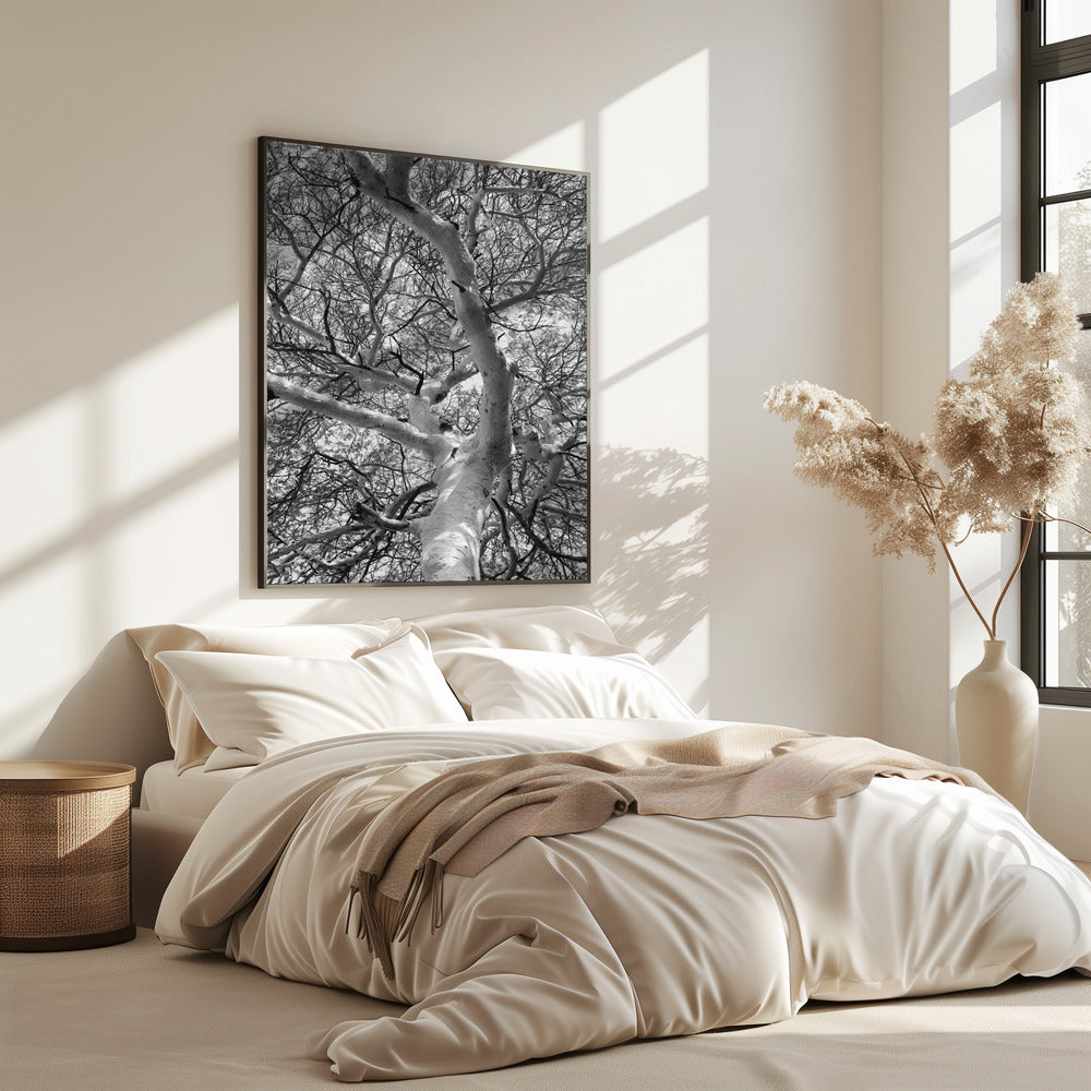 Silhouet Luifel | Poster