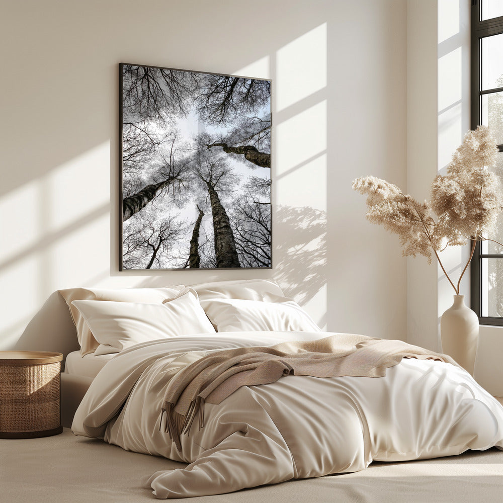 Winter's Embrace | Poster