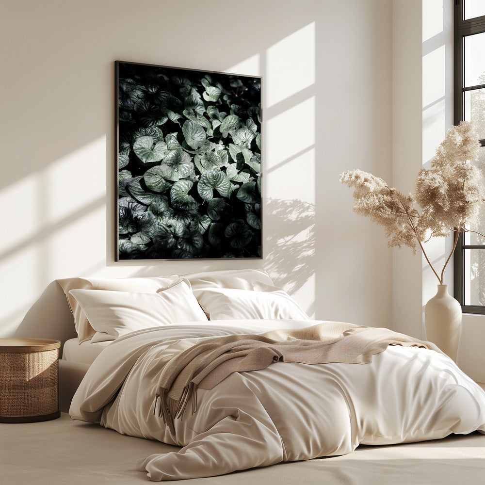 Bladschaduwen | Poster
