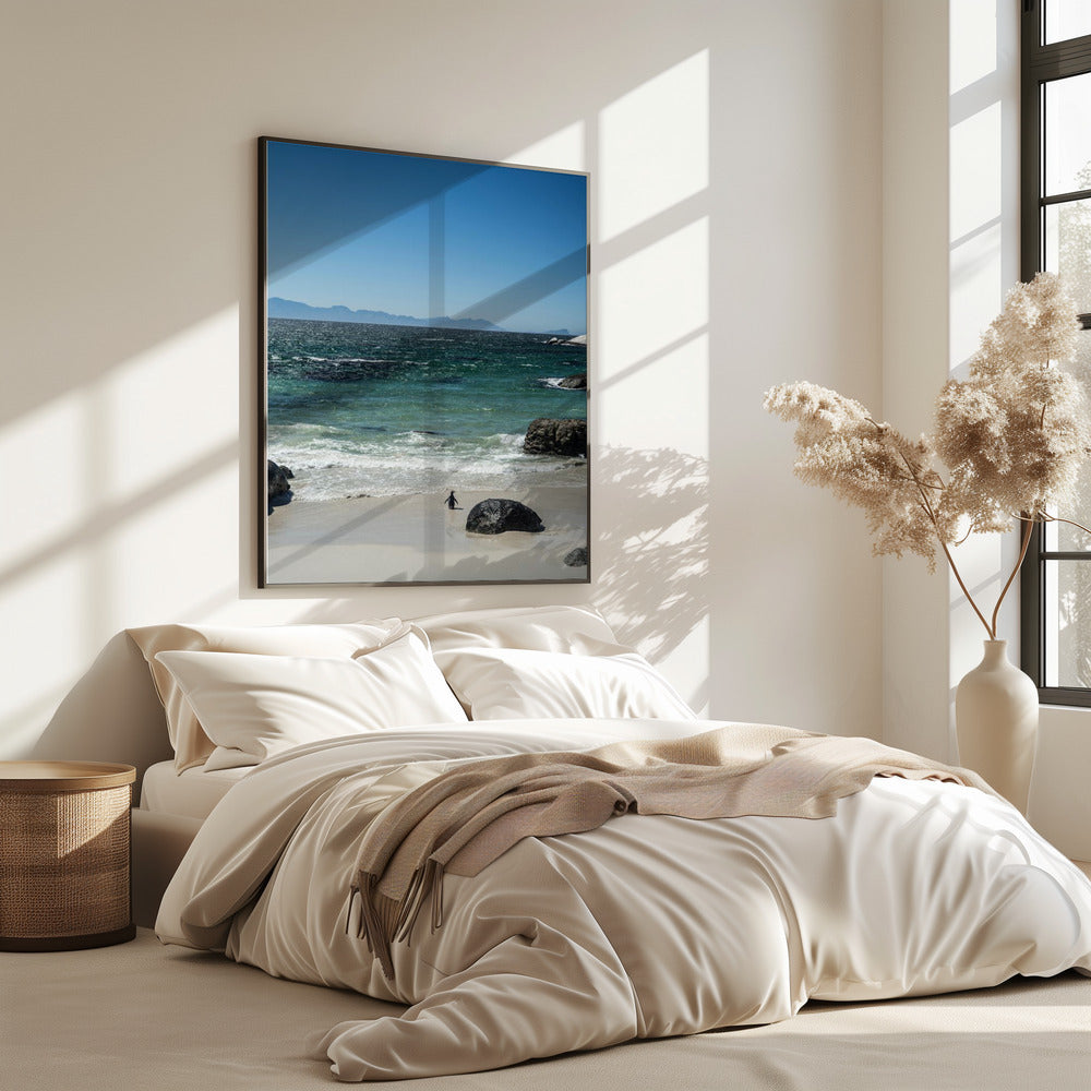 Pinguïnstrandwandeling | Poster