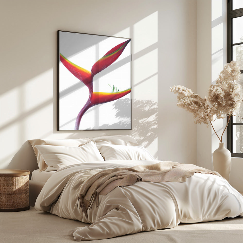 Tropische elegantie | Poster