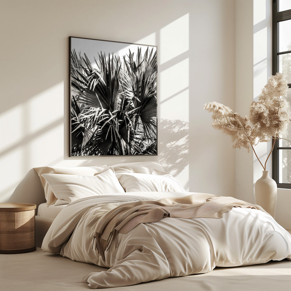 Spiky Serenity | Poster