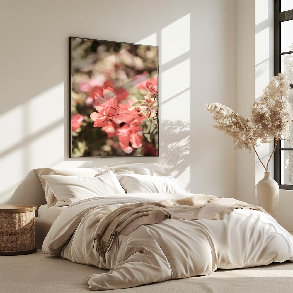 Petals in Focus | Poster