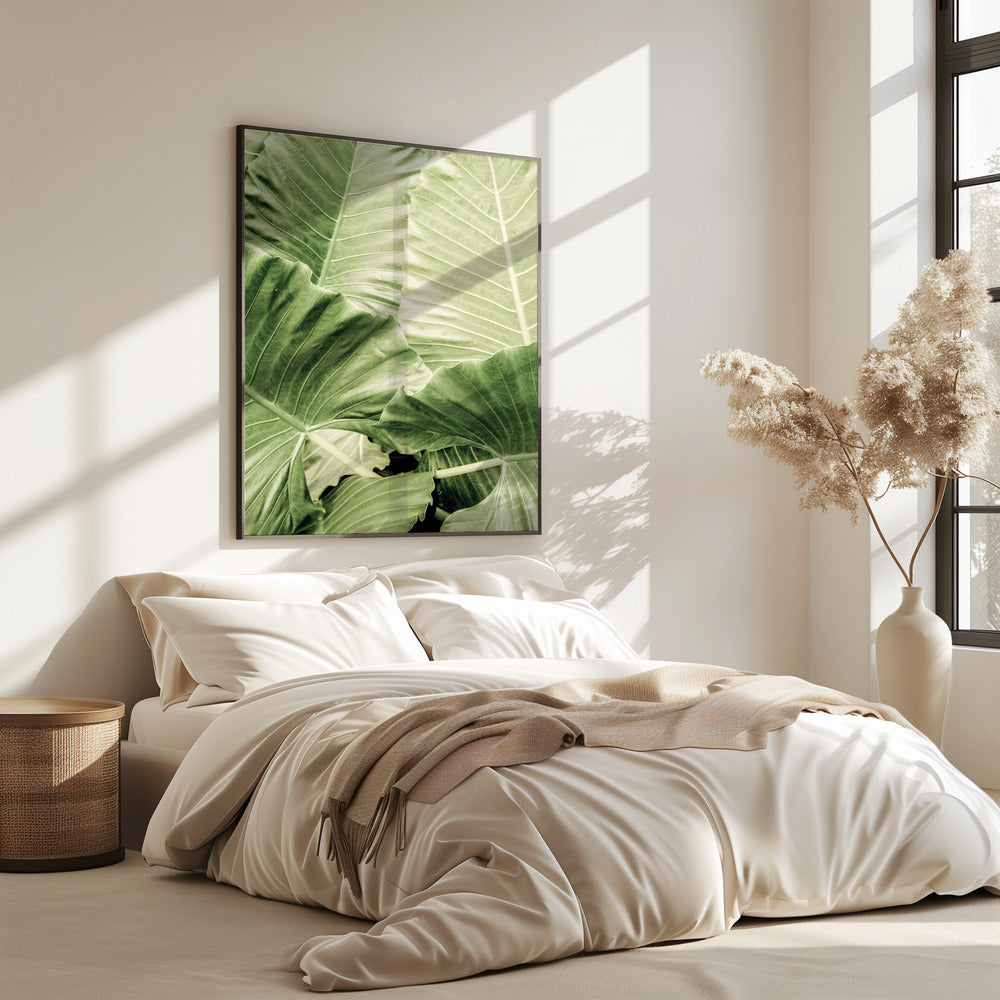 Groen gebladerte | Poster