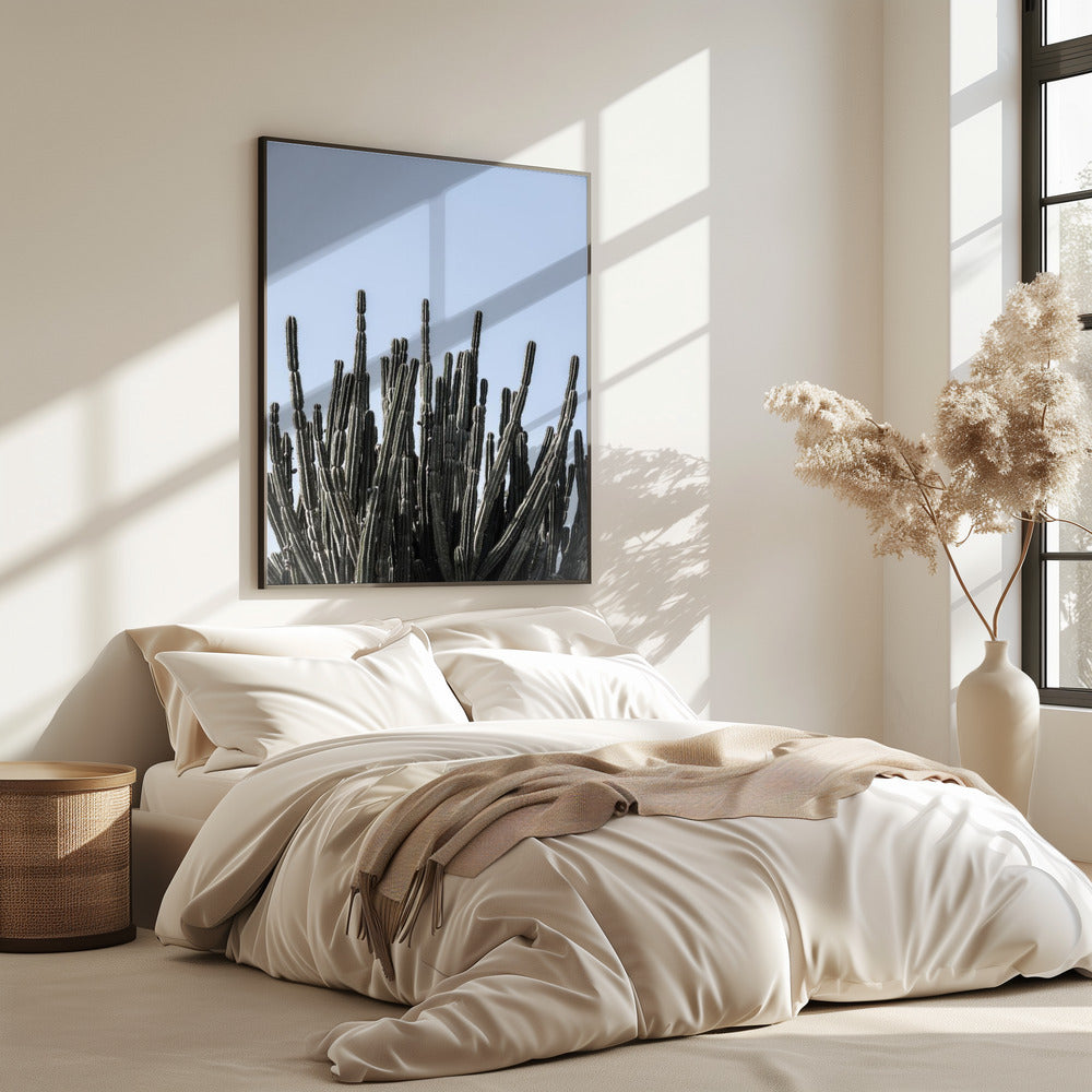 Cactus Symphony | Poster