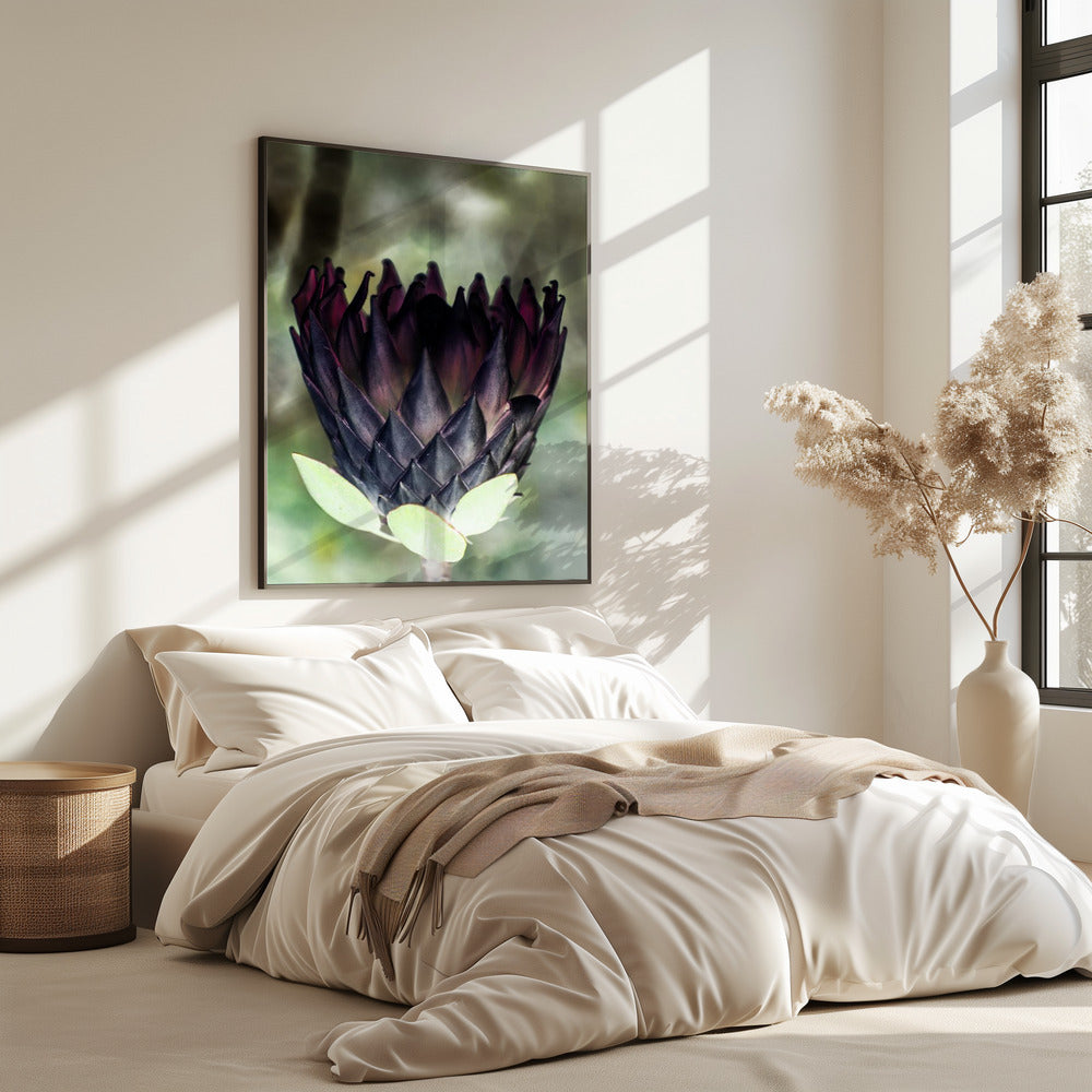 Schaduwrijke Bloesem | Poster