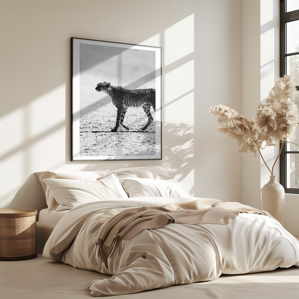 Cheetah's Stride | Poster