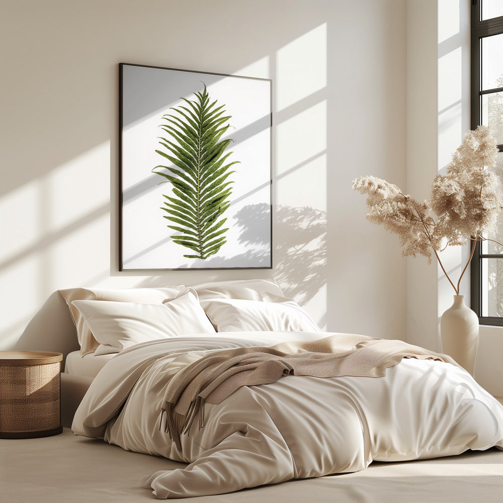 Fern Elegance | Poster