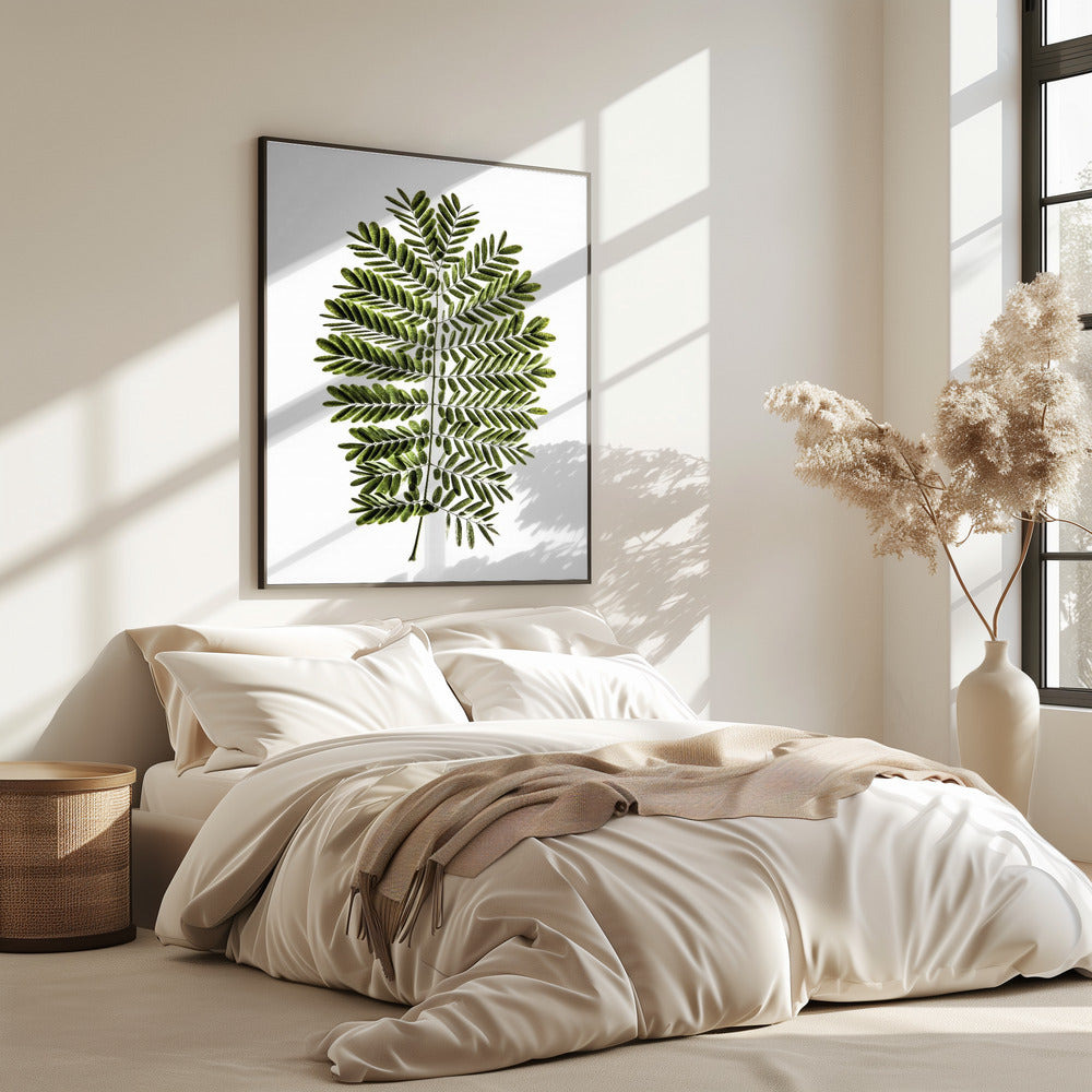 Fern's Symphony | Poster