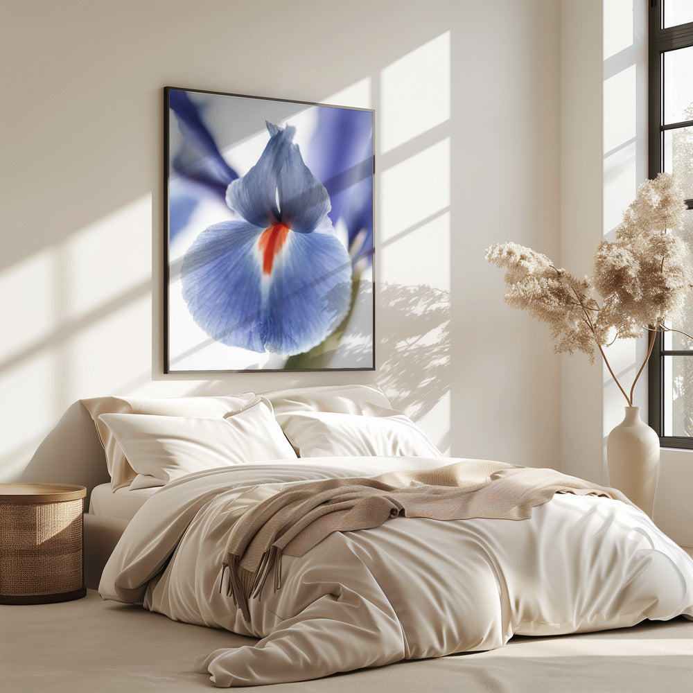 Bloesem Fluister | Poster