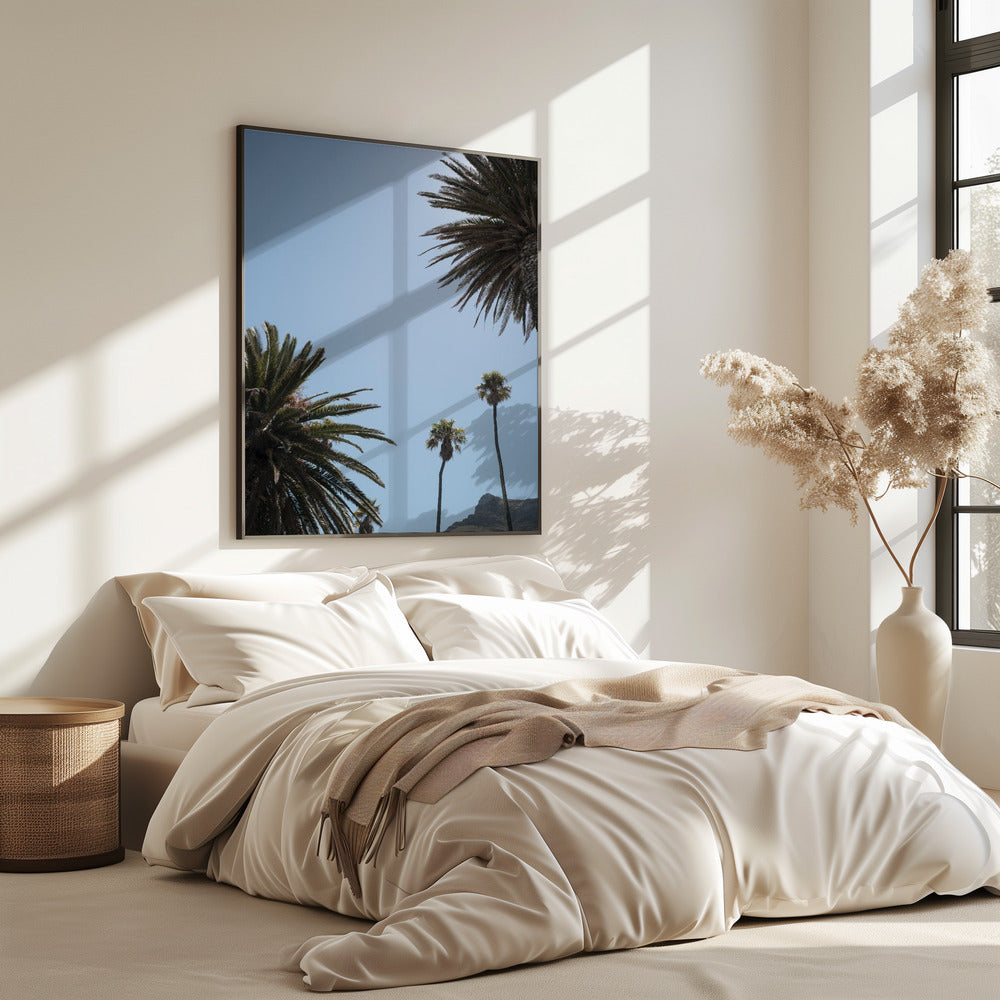 Zonnig Palm Heights | Poster