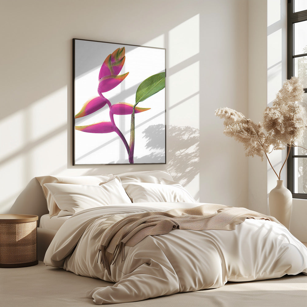 Tropische elegantie | Poster