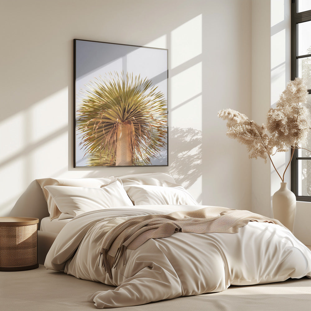 Desert Crown | Poster