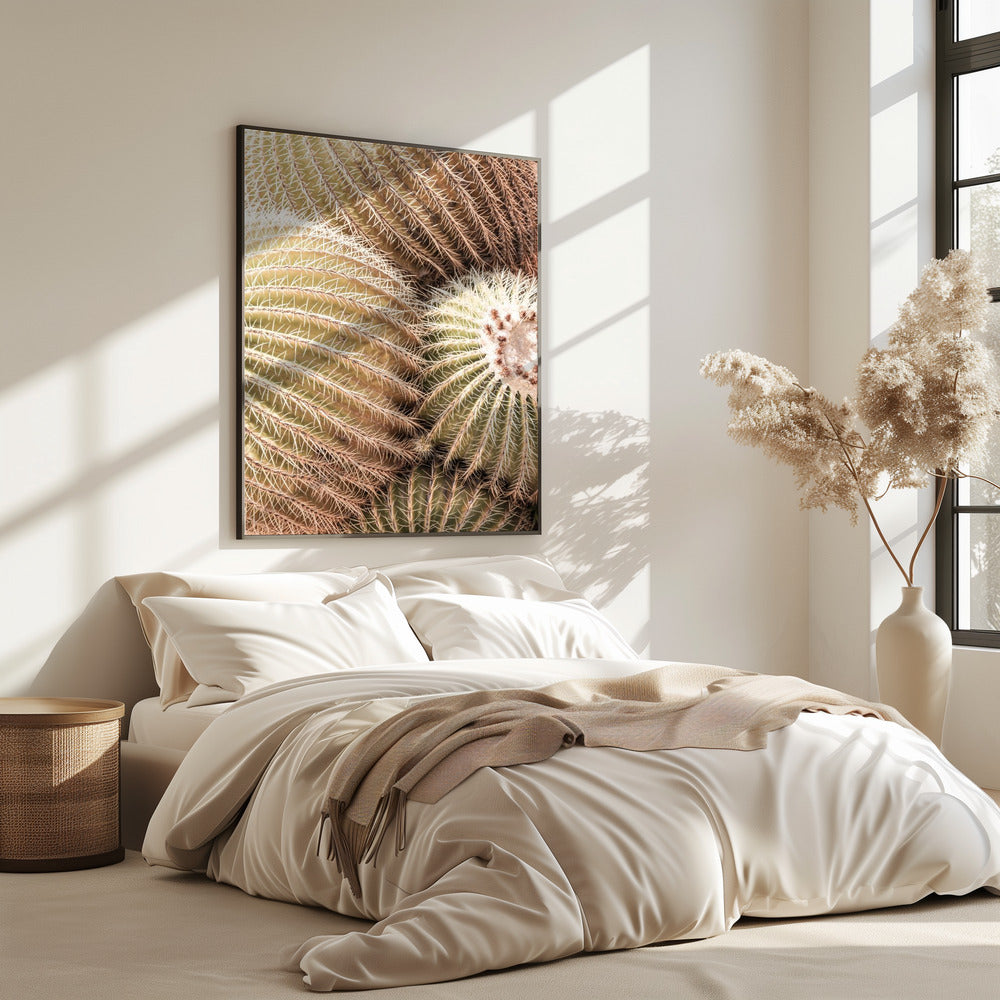 Spiral of Spines | Poster