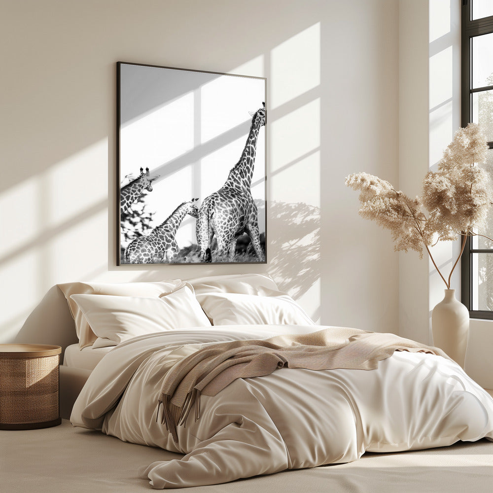Wandeling met giraffenfamilie | Poster