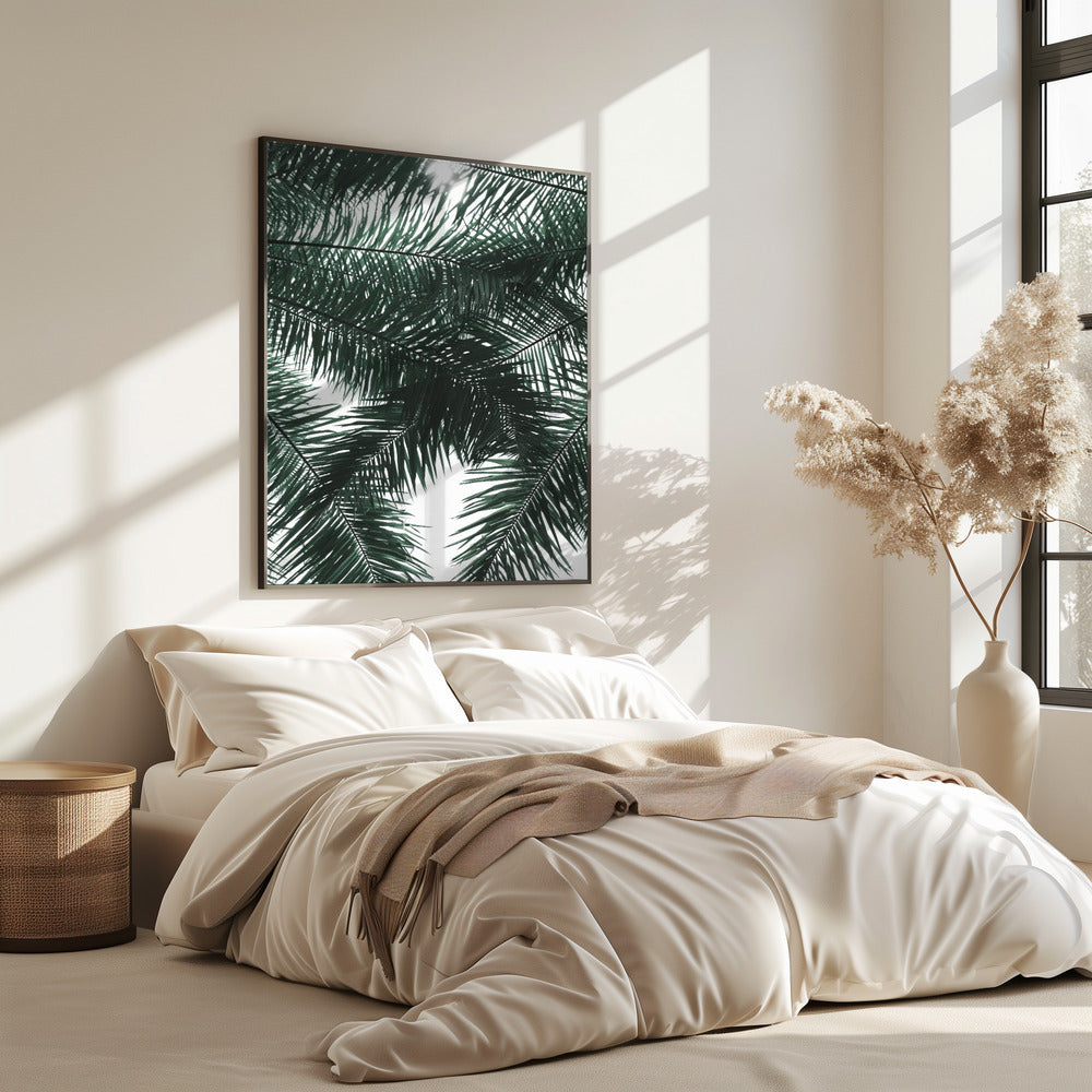 Sunlit Palms Canopy | Poster